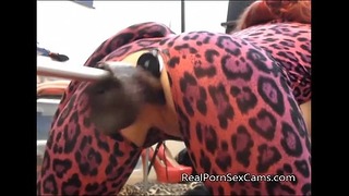 Animergamergirl 在 Realpornsexcams.com 上被橡胶鸡巴操