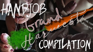 Handjob Compilation from Grandharwest Teen