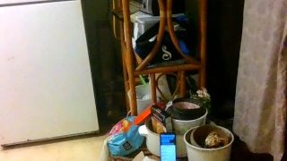 Dj Mollys PMV 粘糊糊的玻璃动物